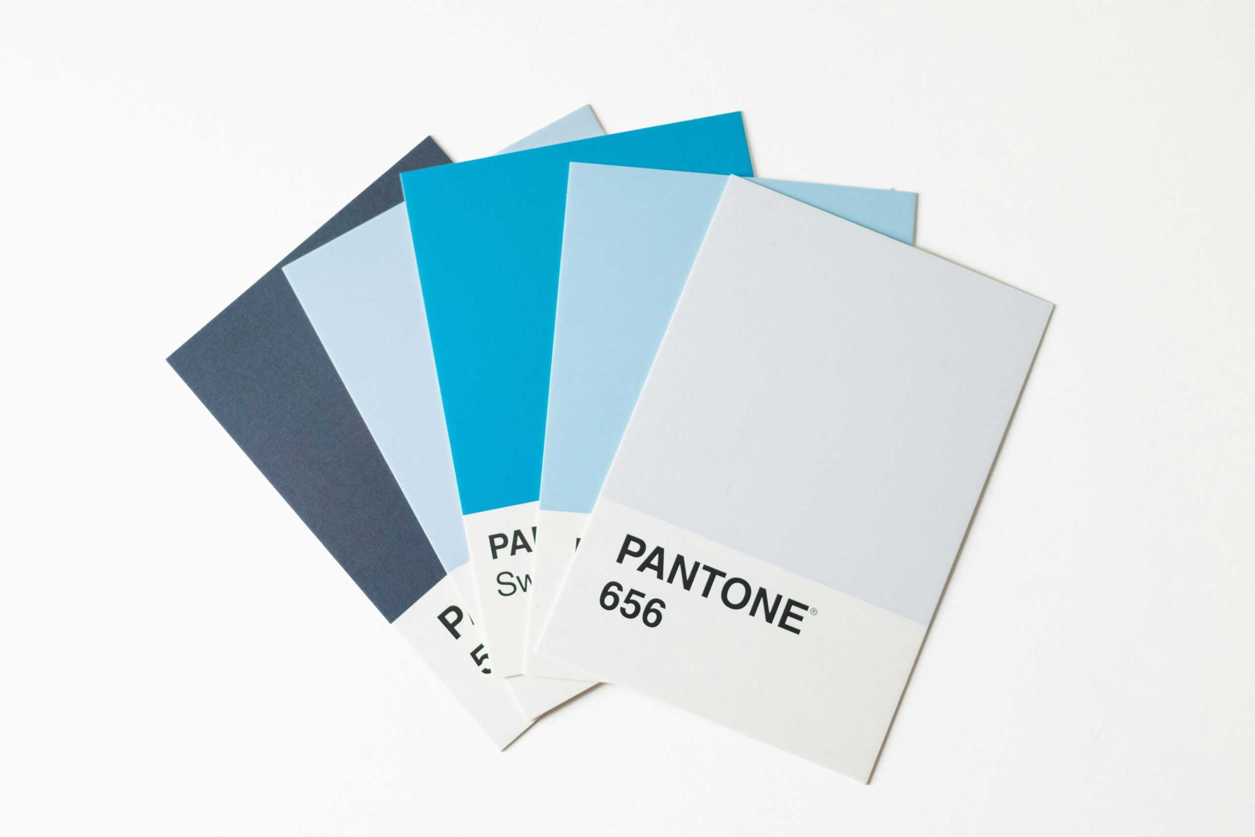 Charte graphique définissant le branding et l'interface